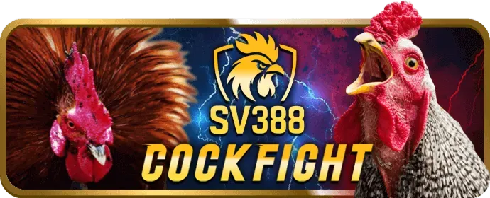 Liên hệ hỗ trợ khách hàng BK8VAO