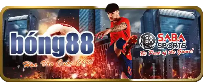 Hướng dẫn quy trình đăng ký tài khoản BK8VAO